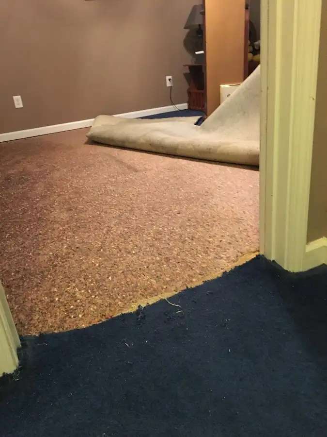 Carpet pad removal revealing water damage during Water Mitigation Services in Egypt Lake-Leto