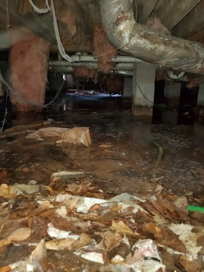Crawl space flood assessment for Commercial Water Damage Restoration in Egypt Lake-Leto