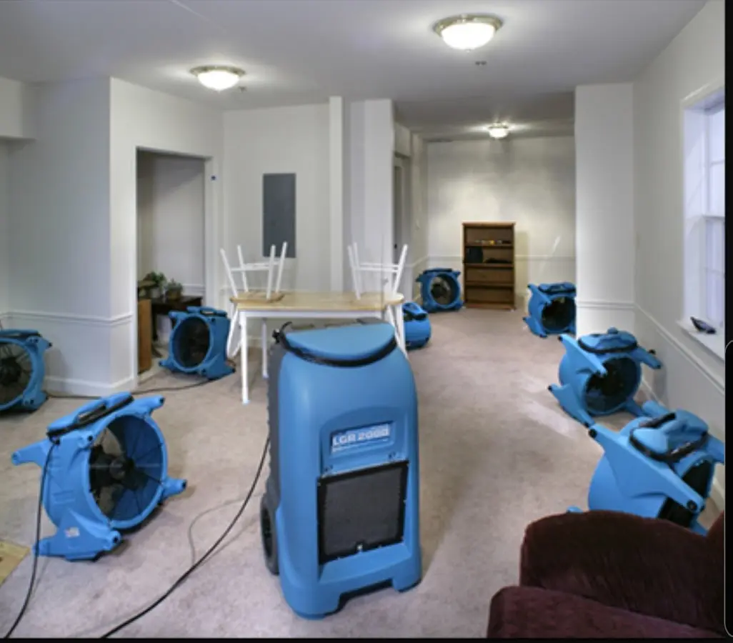 Air movers and dehumidifier setup for Water Extraction & Removal in Egypt Lake-Leto