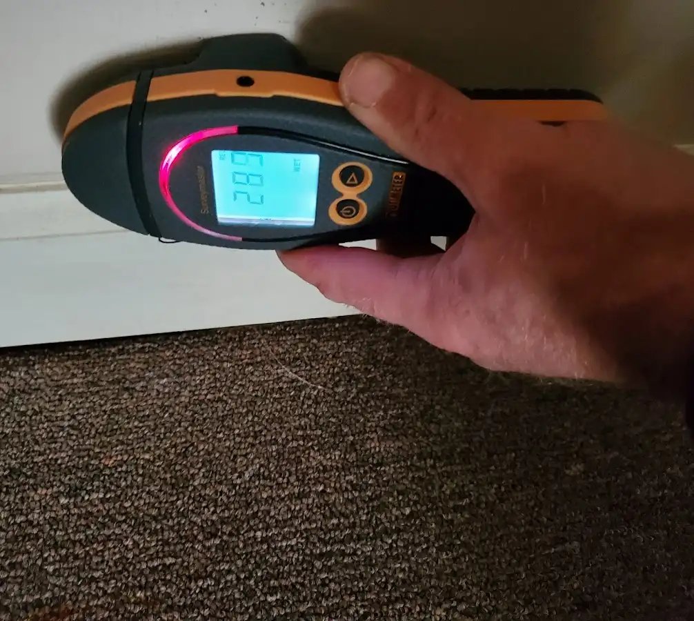 Moisture detection at baseboard during Storm Damage Restoration in Egypt Lake-Leto