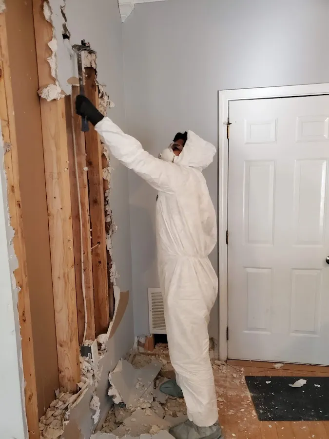 Water Damage Restoration services in Egypt Lake-Leto, FL